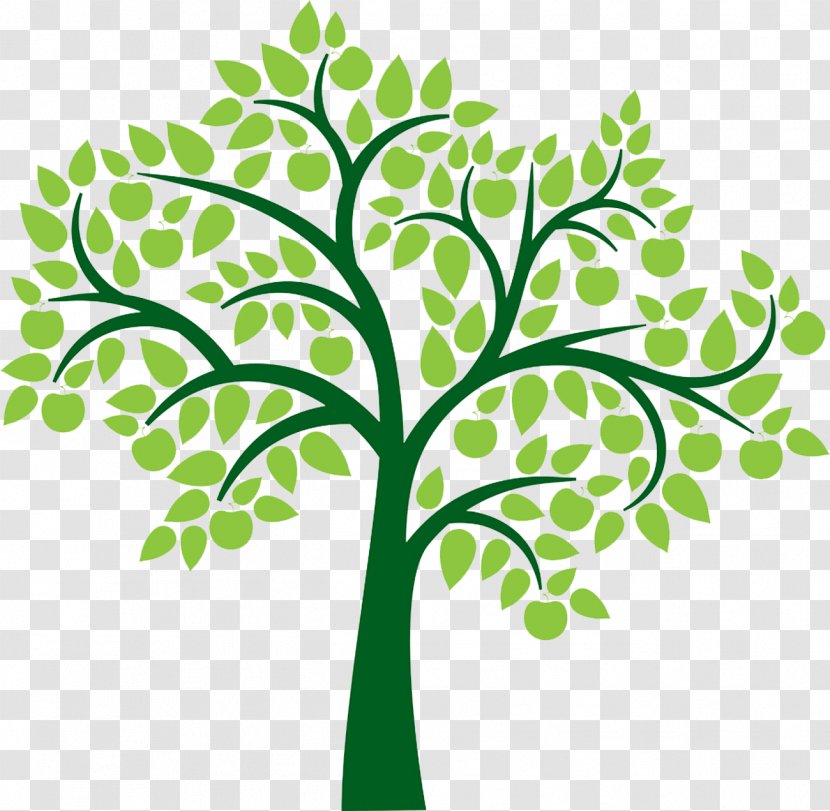 Tree Clip Art - Organism - Family Transparent PNG