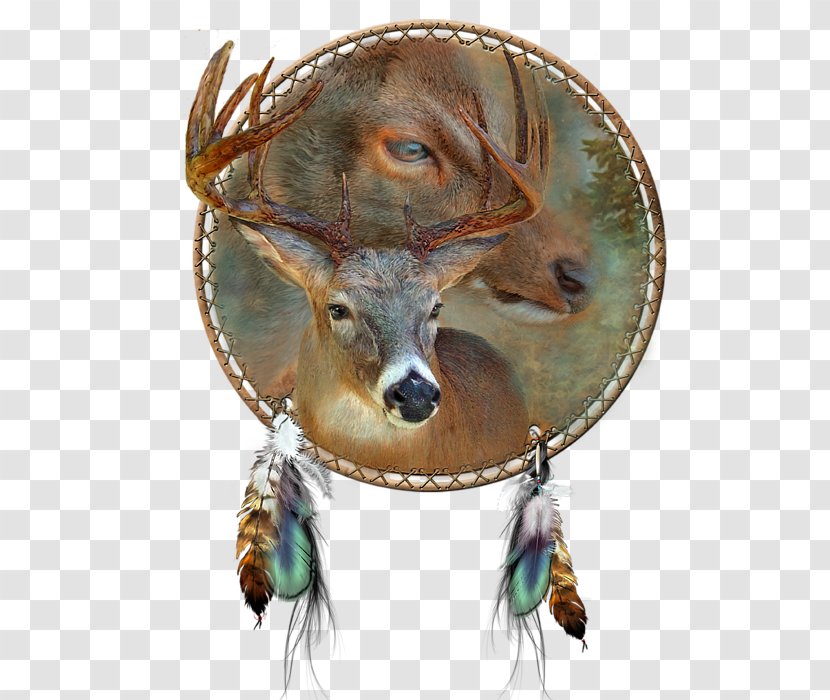Oil Painting Art Deer Dreamcatcher - Dreamcather Transparent PNG