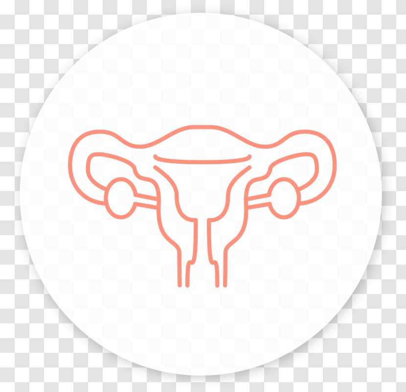 Gynaecology Egg Donation Cell Medicine - Tree - Woman Transparent PNG