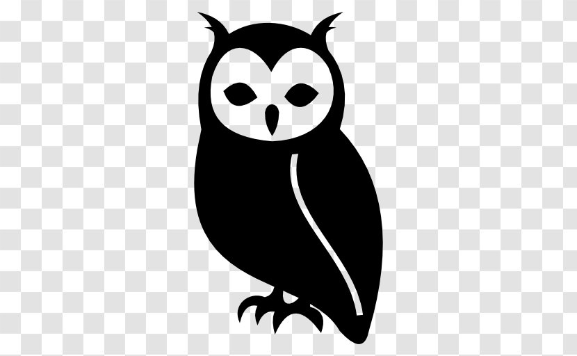 Owl Bird - Beak Transparent PNG