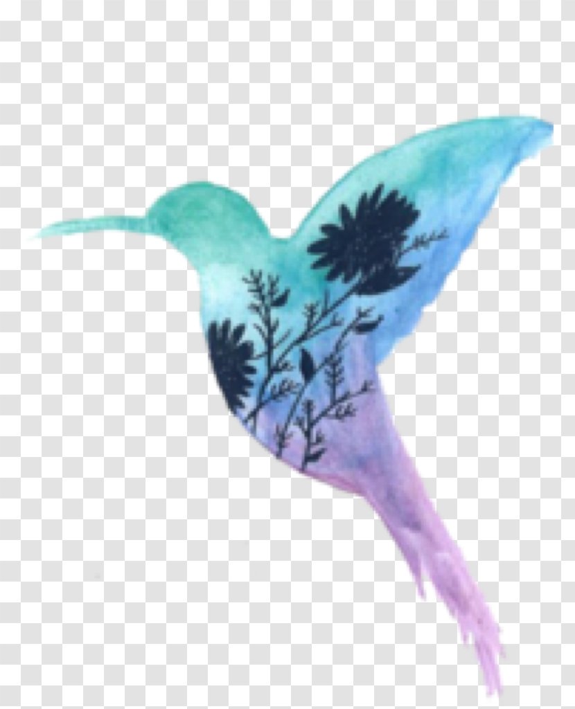 Hummingbird Watercolor Painting YouTube - Beak Transparent PNG