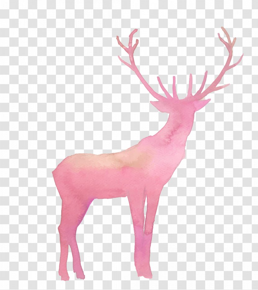 Reindeer Elk - Mammal - Deer Transparent PNG
