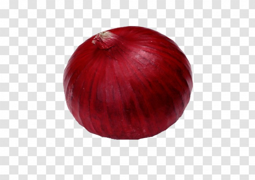 Red Onion Maroon - Food Transparent PNG