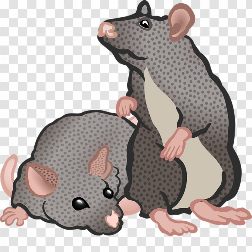 Computer Mouse Rodent Black Rat Clip Art - Royaltyfree - FIG Family Transparent PNG