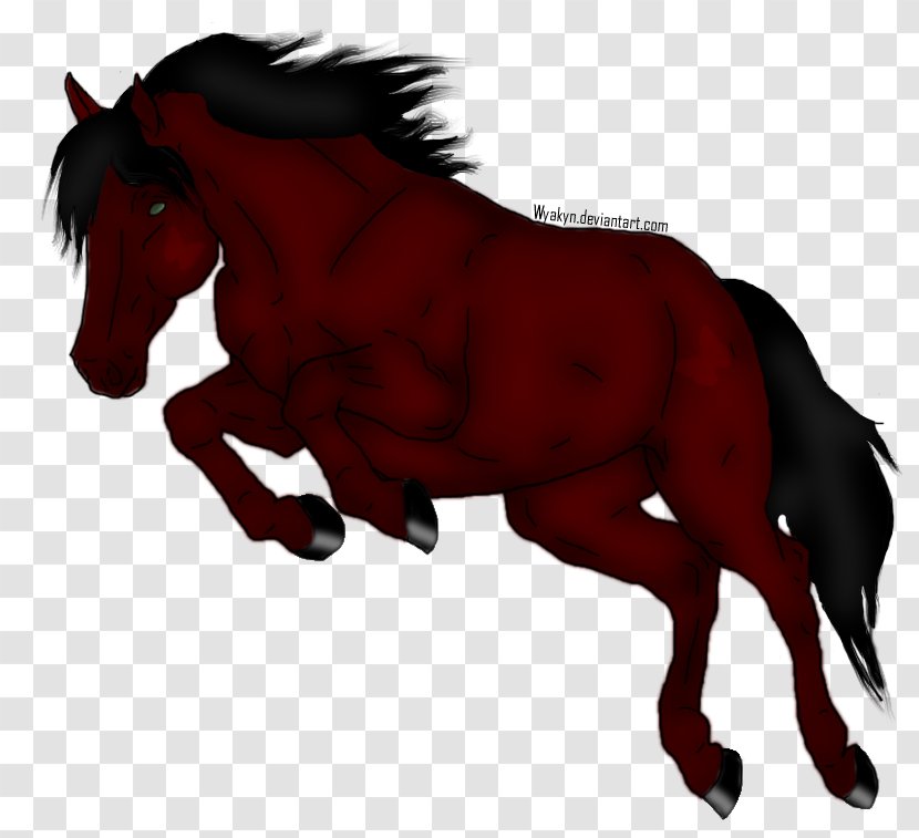 Foal Mane Stallion Mustang Mare - Colt Transparent PNG
