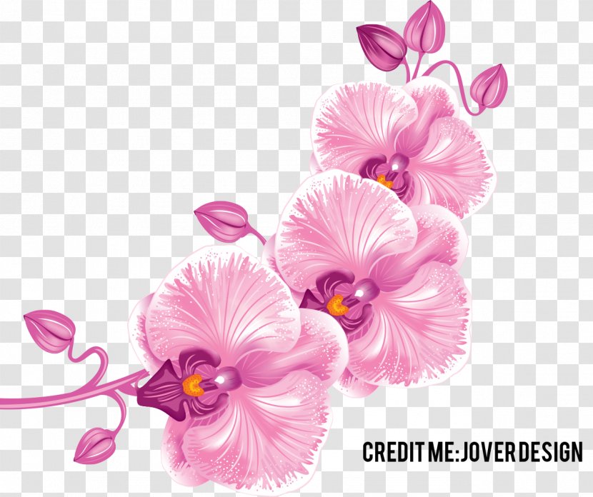 Orchids Orchidea Desktop Wallpaper Flower Clip Art - Arranging Transparent PNG