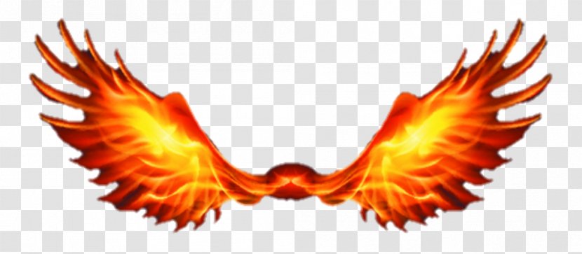 Flame Fire Light Combustion - Amber - Phoenix Wright Transparent Transparent PNG
