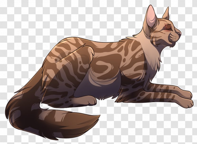 Whiskers Kitten Cat Dog Canidae - Mammal Transparent PNG