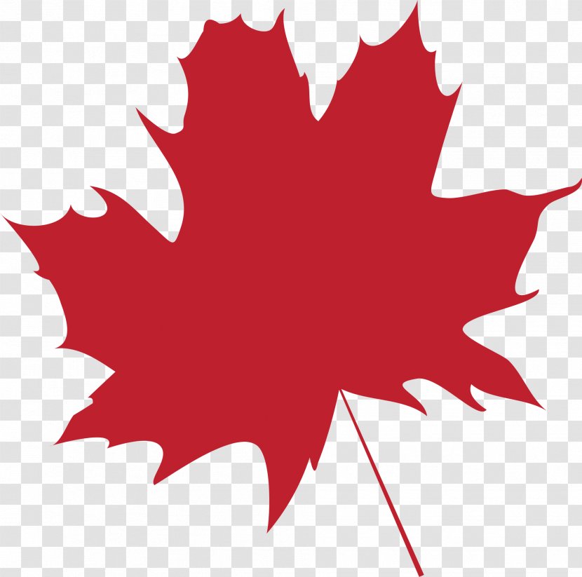Maple Leaf Flag Of Canada - Woody Plant - Autumn Leaves Transparent PNG
