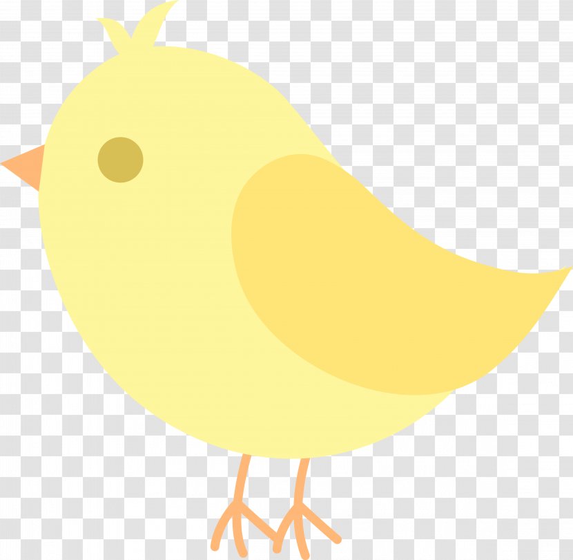 Chicken Bird Beak Clip Art - Cute Clipart Transparent PNG