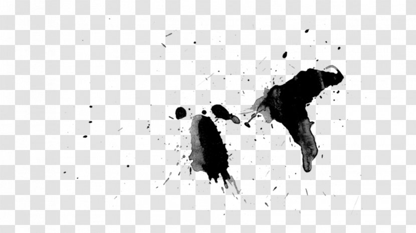 Desktop Wallpaper Black And White - Poco Loco Transparent PNG