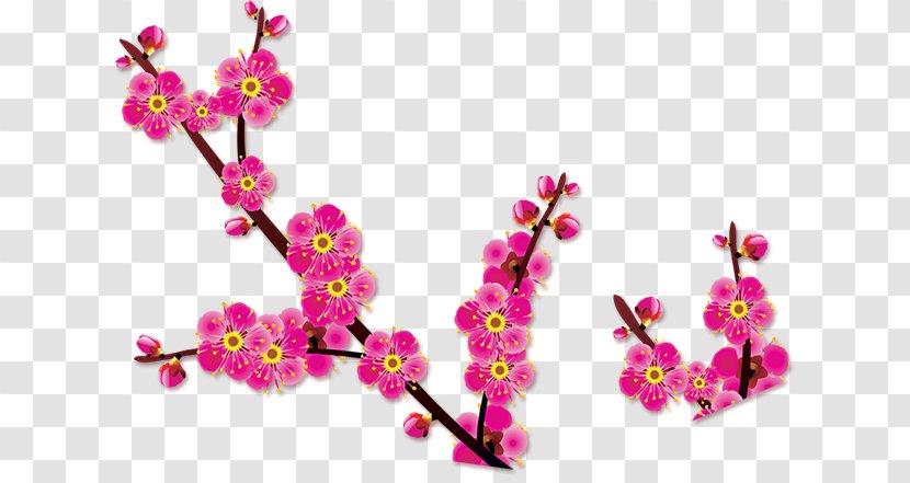 Plum Blossom Flower Floral Design - Blossoms Transparent PNG