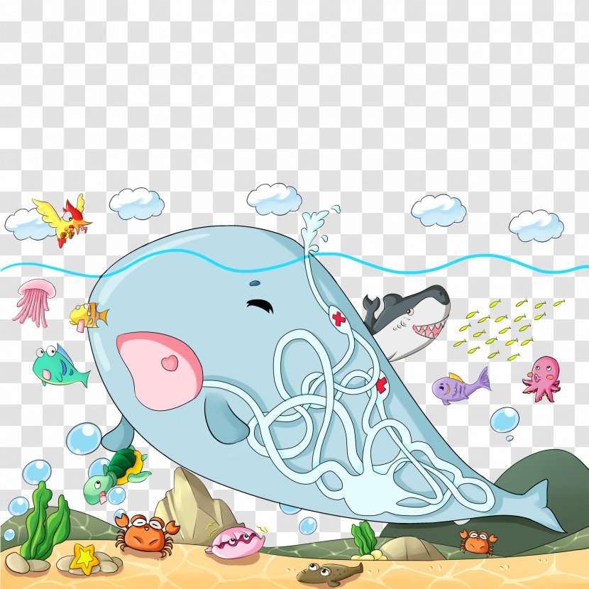 Marine Mammal Whale Cartoon Illustration - Vertebrate - Background Transparent PNG