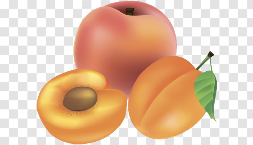 Fruit Berry Food - Apricot Transparent PNG