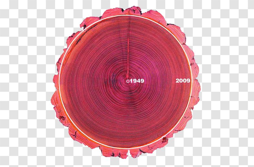 Graphic Design - Photography - Tree Rings Transparent PNG