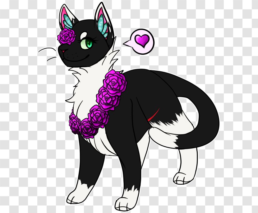 Whiskers Kitten Black Cat Transparent PNG