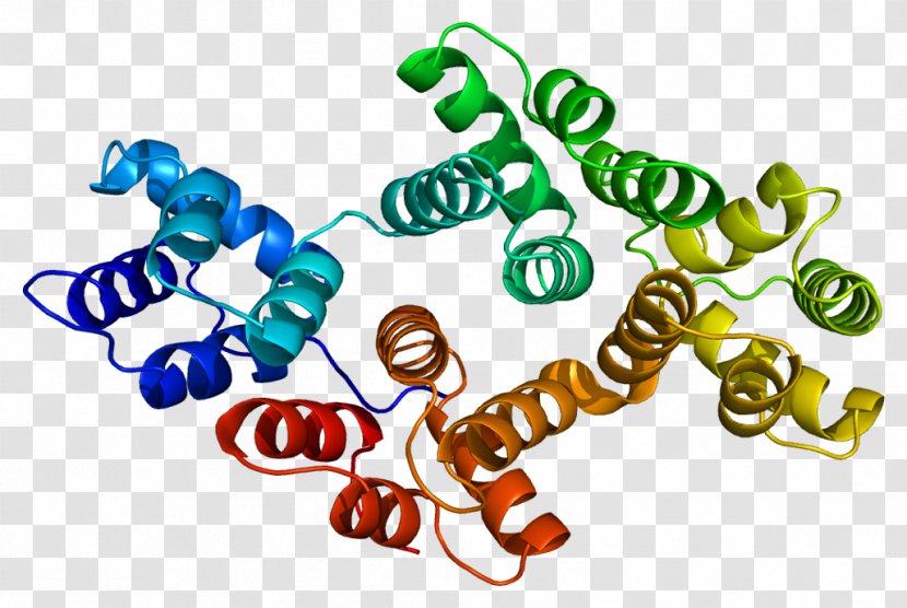 Annexin A4 Protein Gene Cell - Watercolor - Secretory Epithelial Cells Transparent PNG