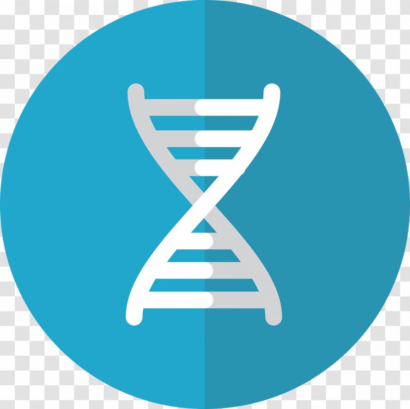 Genetic Engineering Genetics DNA Vector - Protein Transparent PNG