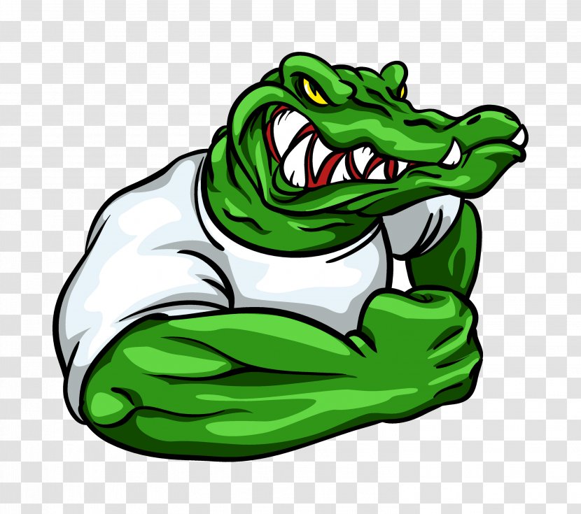 Crocodile Alligator Decal Sticker - Toad Transparent PNG