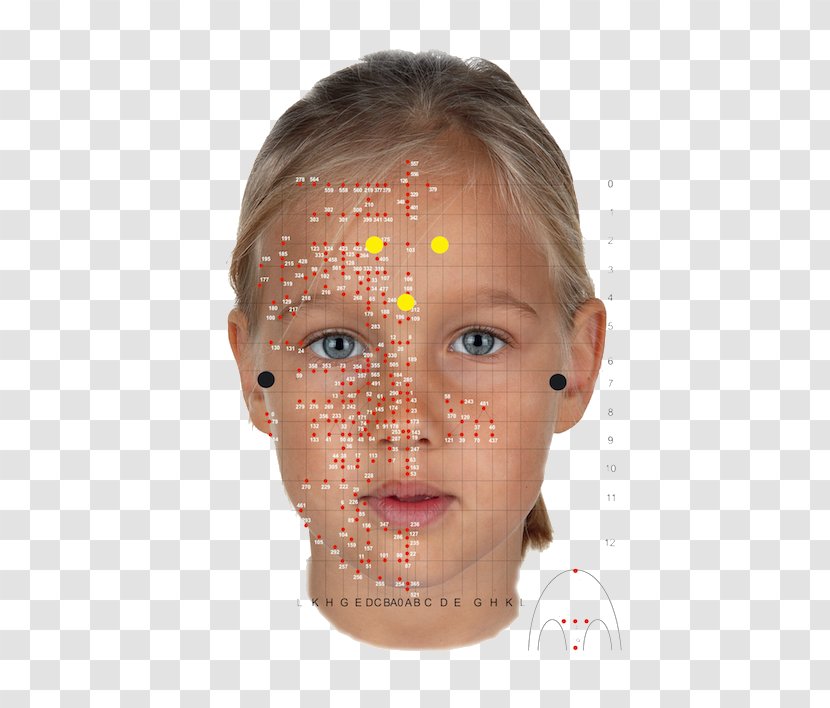 Cheek Facial Reflexology: A Self-Care Manual La Reflexología Face - Nose - Chart Transparent PNG