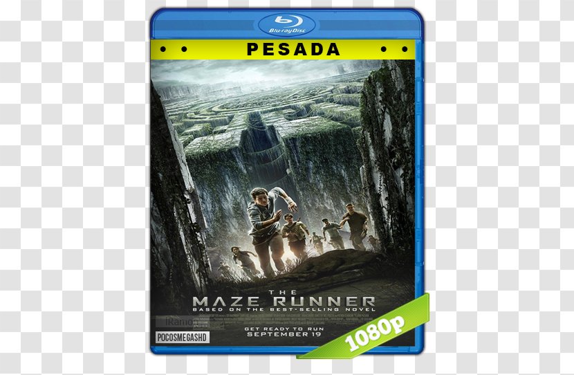 Maze Runner Painting Film Poster Transparent PNG