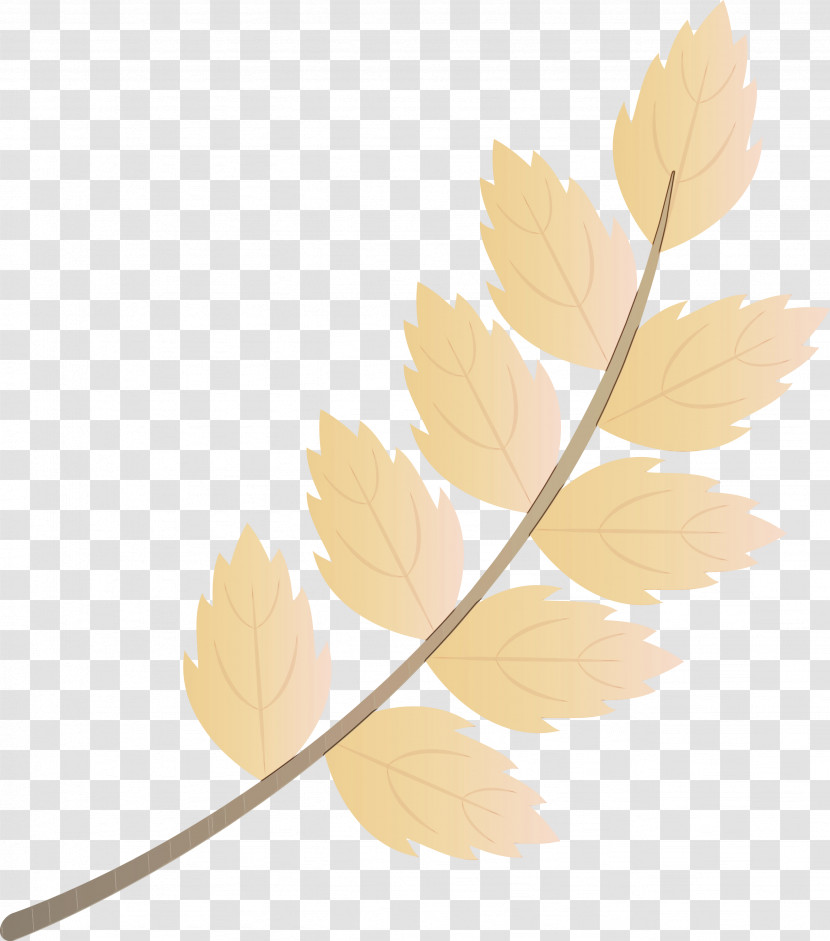 Twig Leaf Plant Stem Petal Transparent PNG
