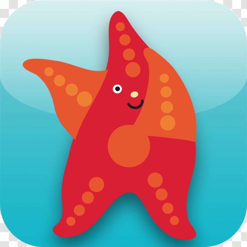 Starfish Echinoderm Marine Biology Clip Art Transparent PNG