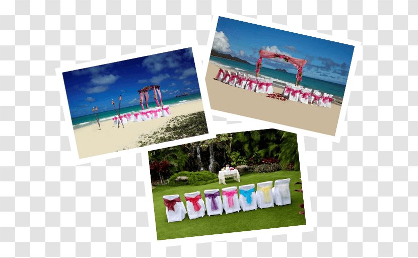 Hawaiian Beaches Wedding Paper - Brand - Deco Transparent PNG
