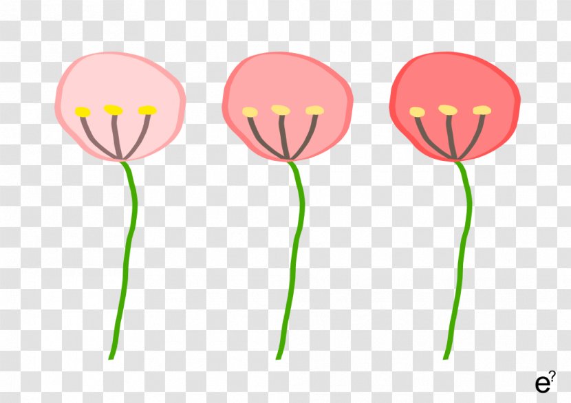 Pink M Balloon Flowering Plant Stem Clip Art - Color Board Transparent PNG