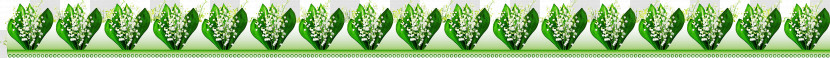 Flower Border Flower Background Floral Line Transparent PNG