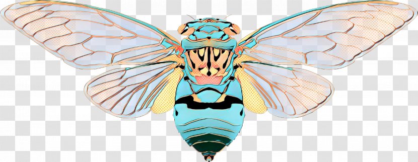 Butterfly - Pest - Membranewinged Insect Fly Transparent PNG
