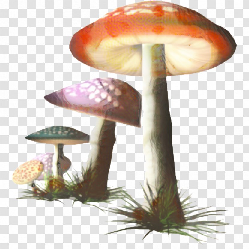 Mushroom Cartoon - Edible - Plant Terrestrial Transparent PNG