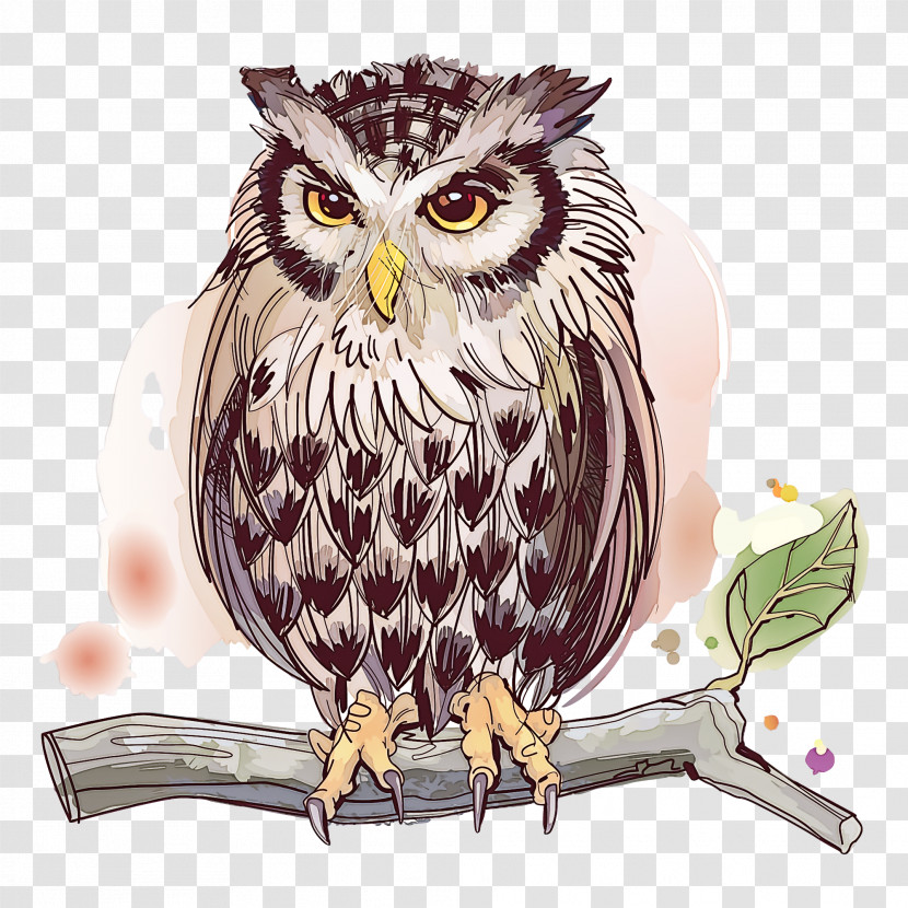 Owl Bird Bird Of Prey Beak Watercolor Paint Transparent PNG