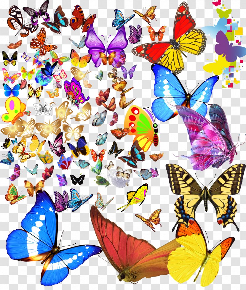 Monarch Butterfly Computer File - Tiff Transparent PNG