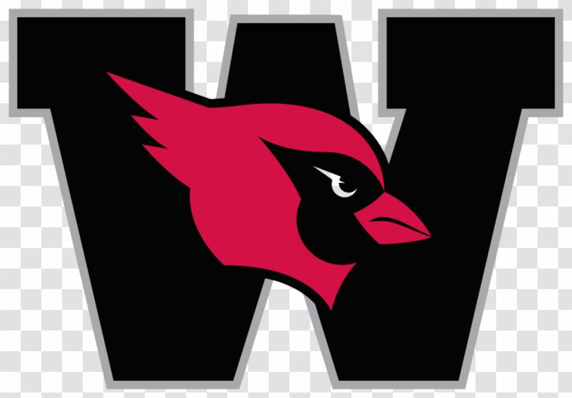 Ohio Wesleyan University Cardinals Football Columbia - Student Transparent PNG