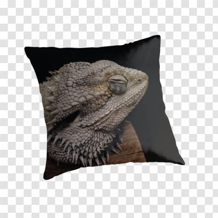 Throw Pillows Cushion Snout - Pillow - Sleeping Dragon Transparent PNG