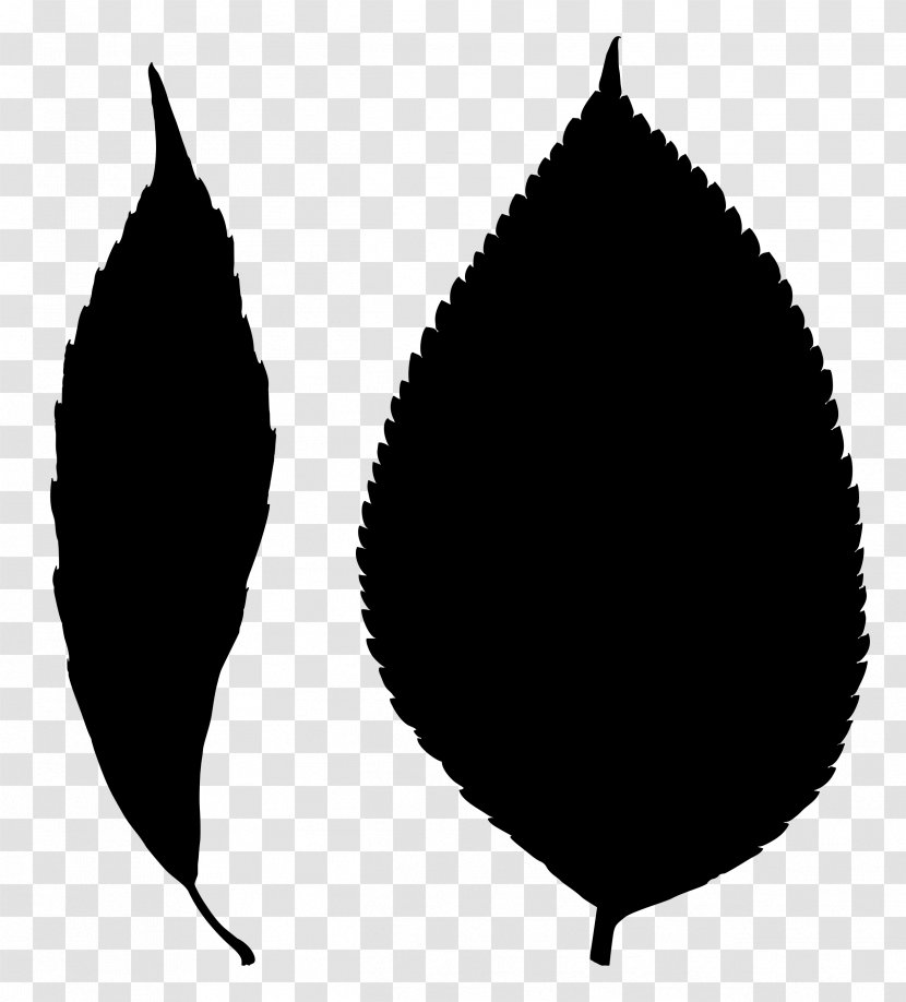 Leaf Line Silhouette Tree Black M - Plant Transparent PNG