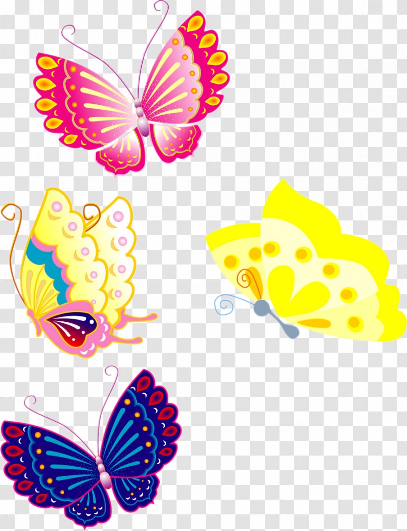 Butterfly Color - Moths And Butterflies - Colorful Transparent PNG