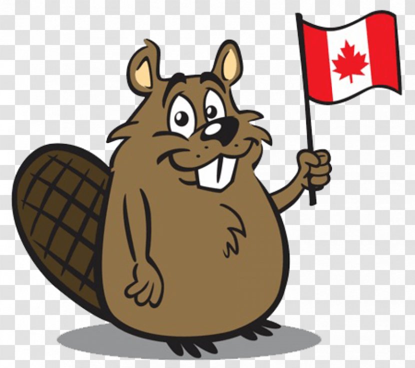 Eurasian Beaver Royalty-free Canada Cartoon Transparent PNG