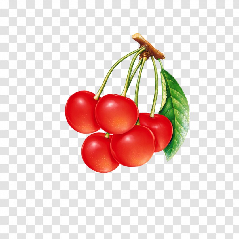 Cherries Sour Cherry Jam Food Clip Art - Marmalade - Red Flower Transparent PNG