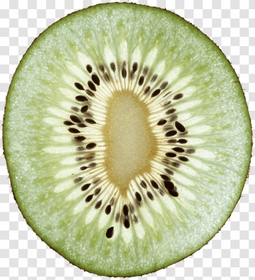 Kiwifruit Download Clip Art - Food - Kiwi Image Fruit Pictures Transparent PNG