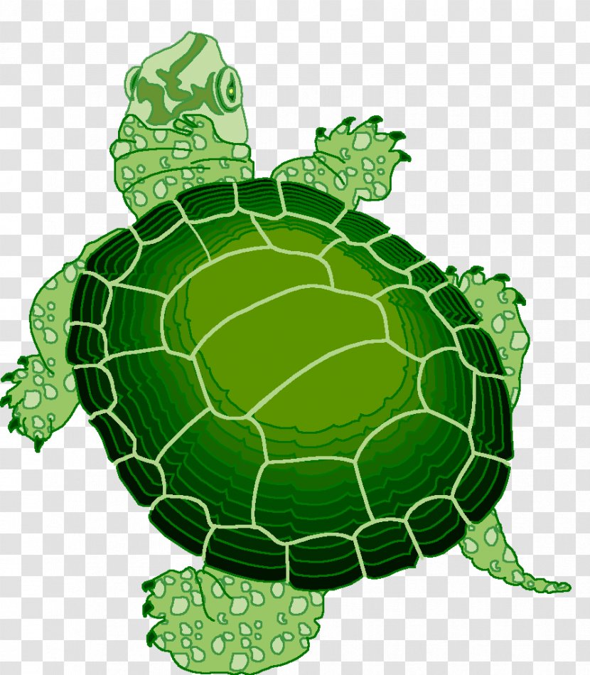Turtle Reptile Animaatio - Sea Transparent PNG