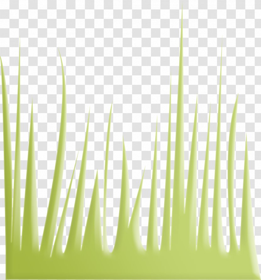 Euclidean Vector Gratis Download - Grass - Green Transparent PNG