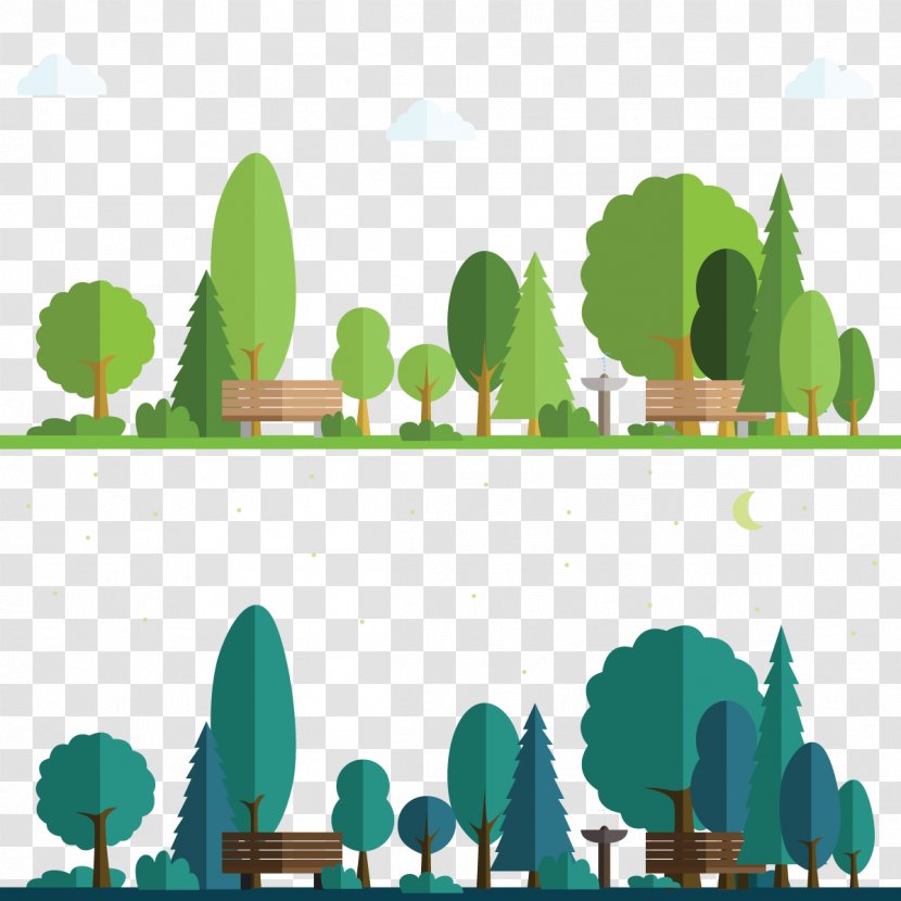 Spina Verde Regional Park Forest - Cartoon - Vector Night Transparent PNG