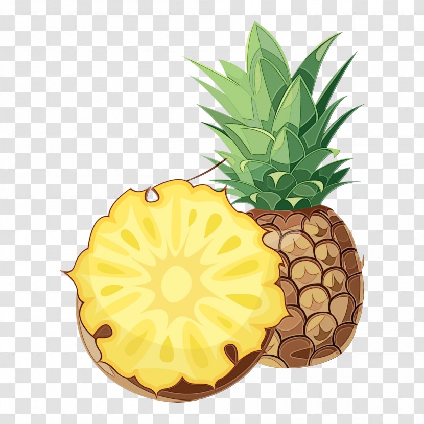Lemon Juice - Pineapples - Vegan Nutrition Poales Transparent PNG