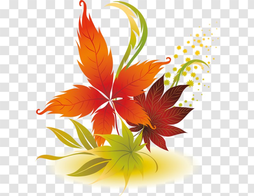 Autumn Leaves Leaf - Stock Photography - Design Transparent PNG