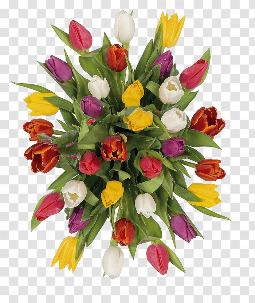 Flower Bouquet Tulip Floral Design Cut Flowers Transparent PNG