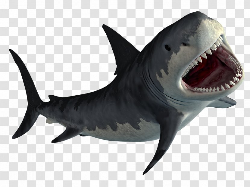 Hungry Shark World Evolution Mpeg 4 Part 14 Jaw Transparent Png