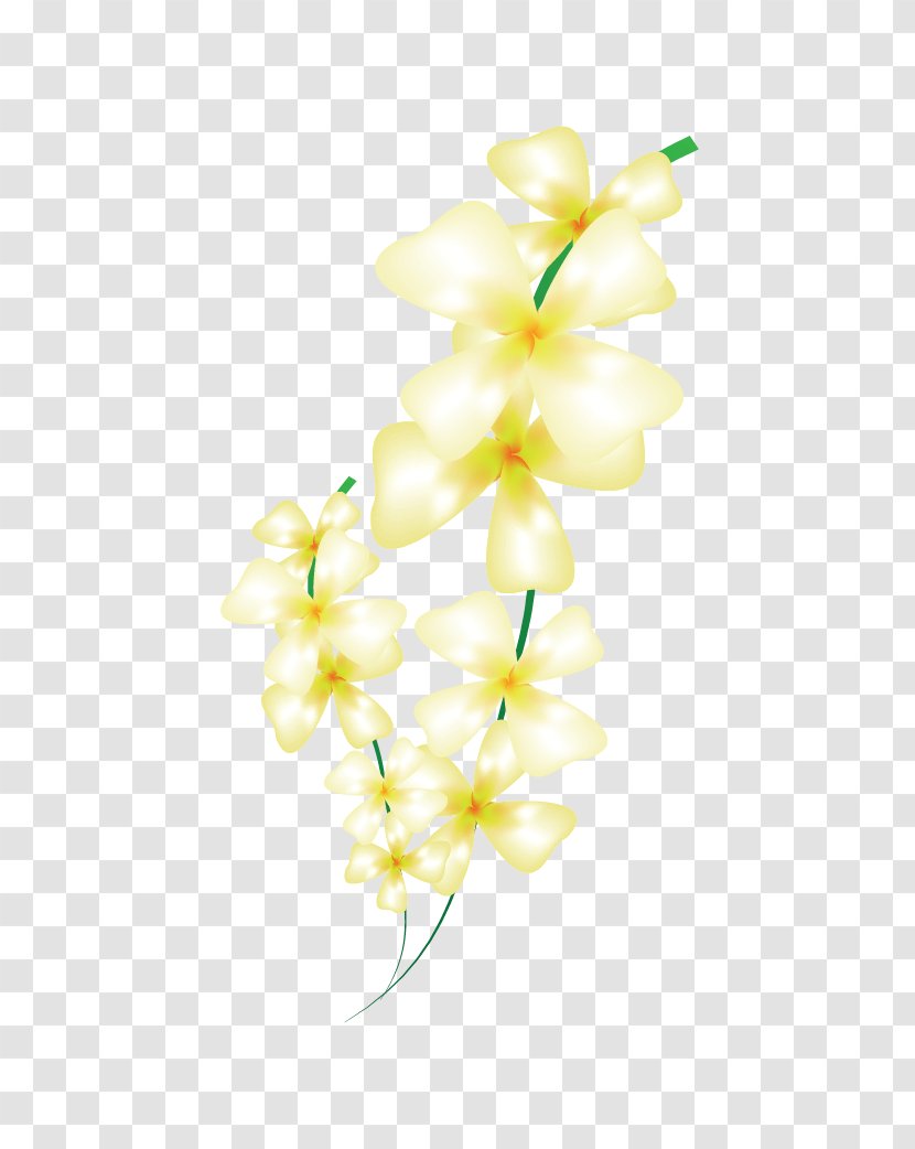 Floral Design Cut Flowers Flower Bouquet Moth Orchids Transparent PNG