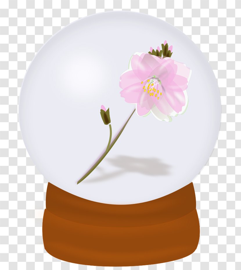 Euclidean Vector Glass Clip Art - Drawing - Crystal Ball Of Pink Flowers Transparent PNG